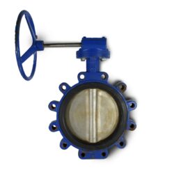 10" LUG STYLE BUTTERFLY VALVE XS D07 ABZ 20 - USED, GOOD