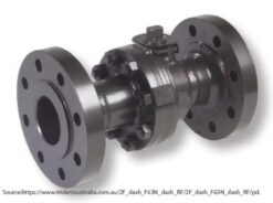 3" 600 RF INLINE SWING CHECK VALVE BALON 3F-C63S-RF
